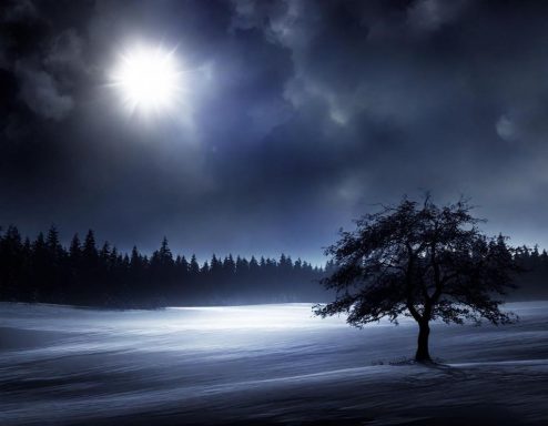 Environment